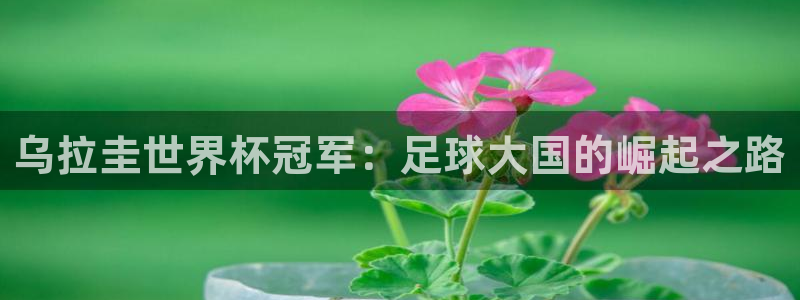 世界杯 中国:乌拉圭世界杯冠军:足球大国的崛起之路