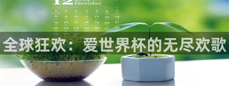 2026世界杯南美区积分榜:全球狂欢:爱世界杯的无尽欢歌