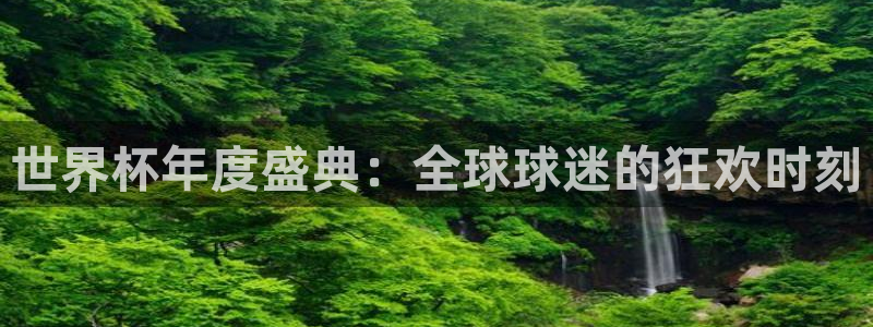 世界杯直播网:世界杯年度盛典:全球球迷的狂欢时刻