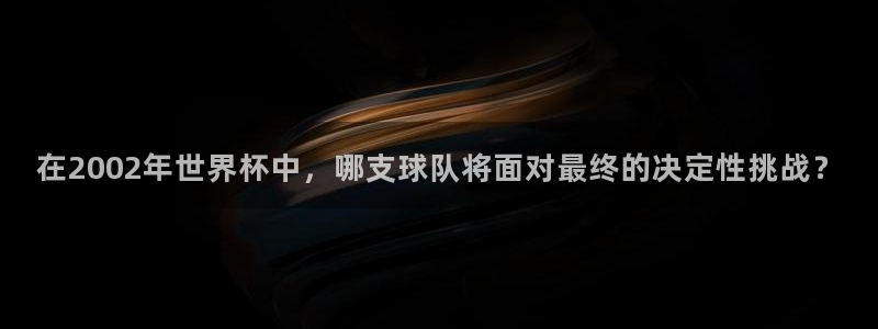 世界杯2026预选赛:在2002年世界杯中,哪支球队将面对最终的决定性挑战?