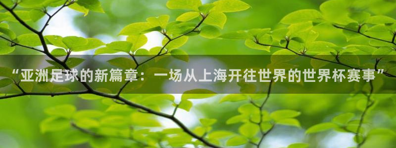 世界杯转播表:“亚洲足球的新篇章:一场从上海开往世界的世界杯赛事”