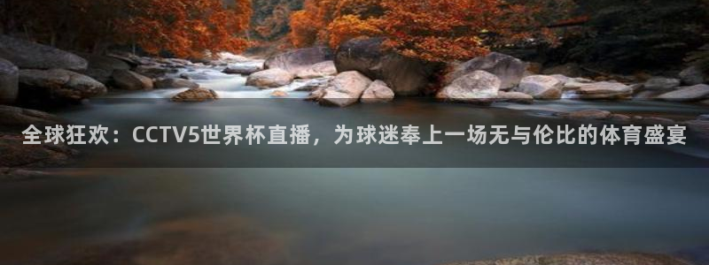 世界杯预选赛:全球狂欢:CCTV5世界杯直播,为球迷奉上一场无与伦比的体育盛宴