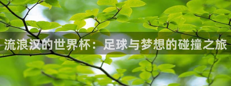 2026年足球世界杯赛程时间表:流浪汉的世界杯:足球与梦想的碰撞之旅