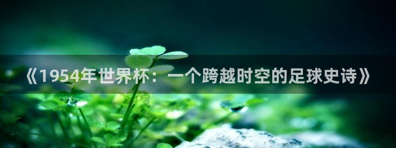 世界杯足球直播:《1954年世界杯:一个跨越时空的足球史诗》
