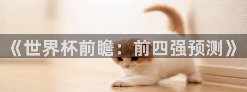 世界杯:《世界杯前瞻:前四强预测》